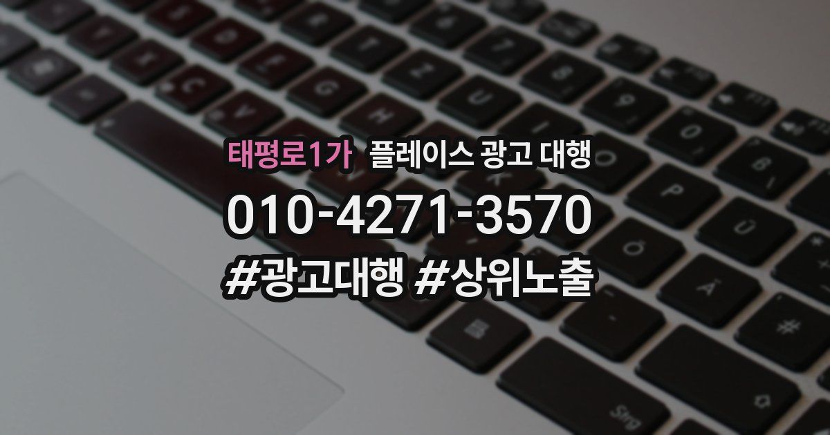 태평로1가 플레이스 광고 대행