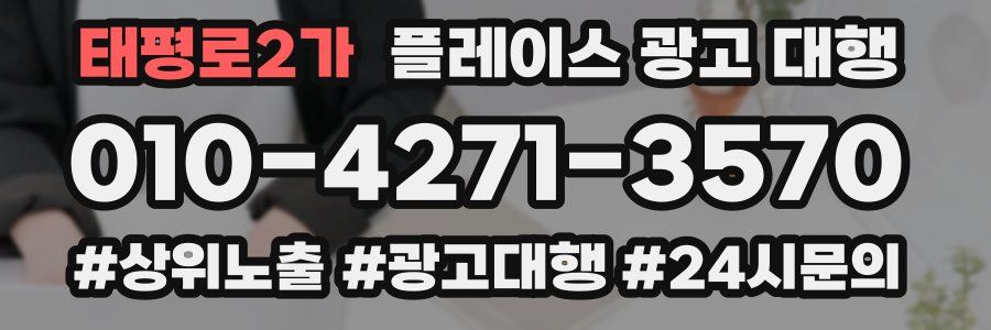 태평로2가 플레이스 광고 대행