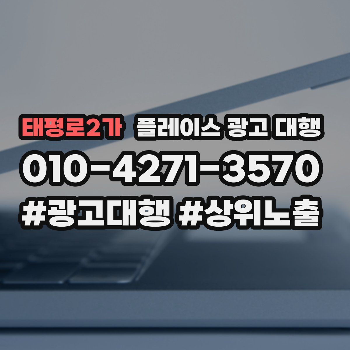 태평로2가 플레이스 광고 대행