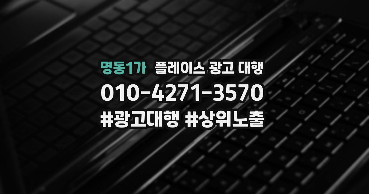 명동1가 플레이스 광고 대행