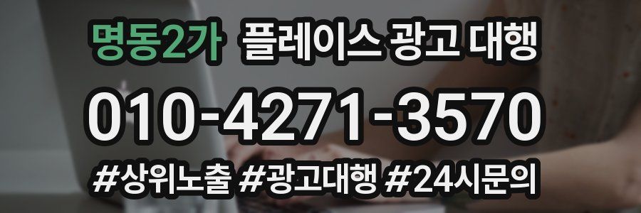 명동2가 플레이스 광고 대행