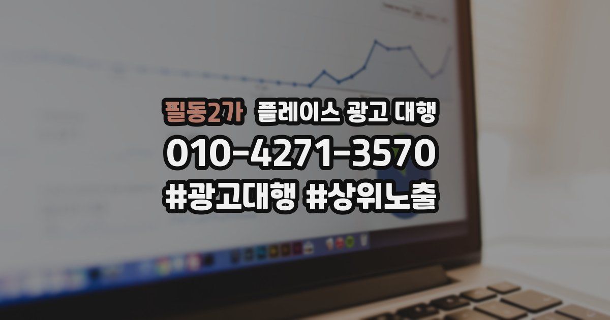 필동2가 플레이스 광고 대행