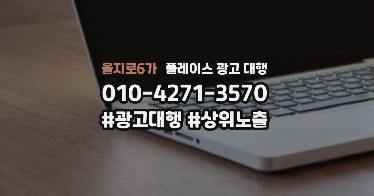 을지로6가 플레이스 광고 대행