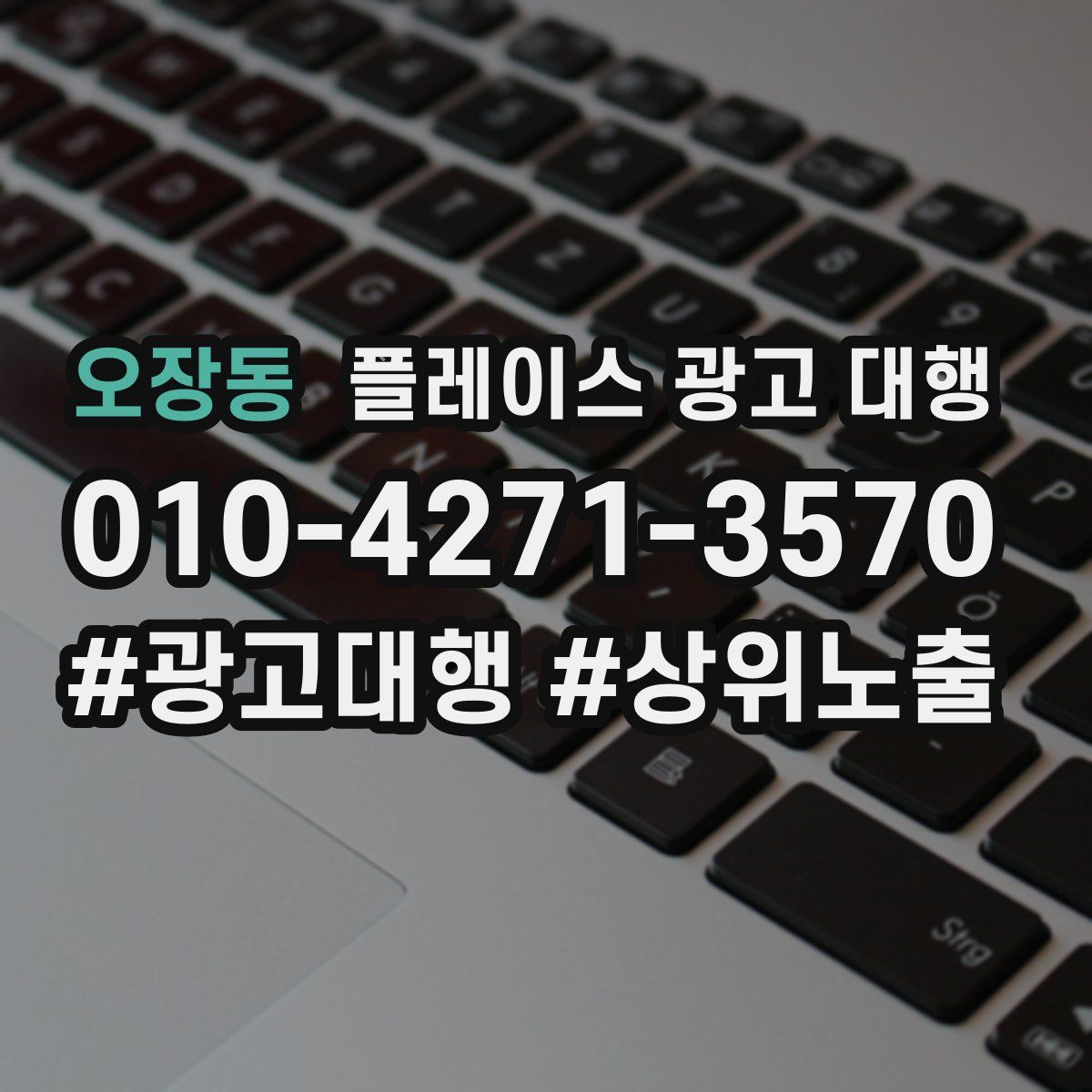 오장동 플레이스 광고 대행