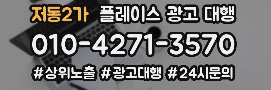 저동2가 플레이스 광고 대행