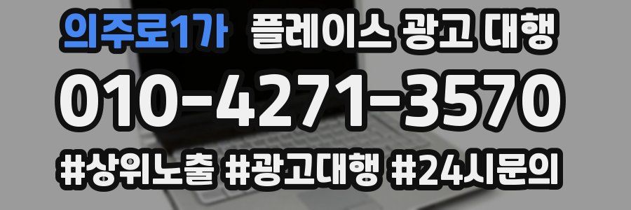 의주로1가 플레이스 광고 대행