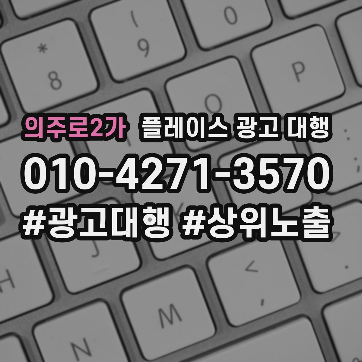 의주로2가 플레이스 광고 대행