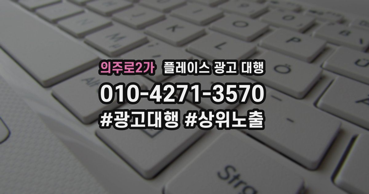 의주로2가 플레이스 광고 대행