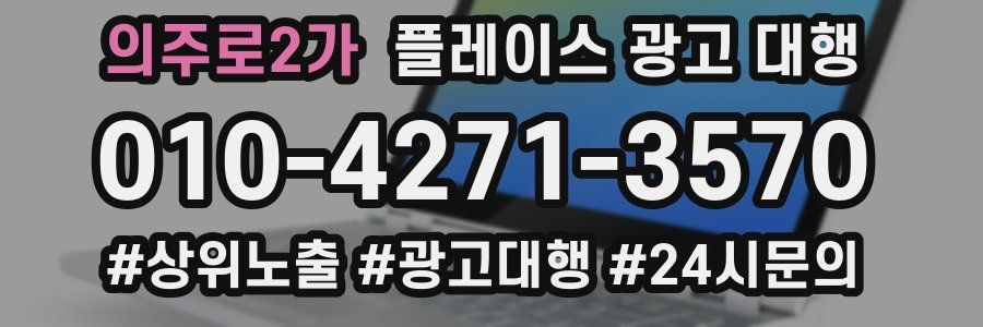 의주로2가 플레이스 광고 대행