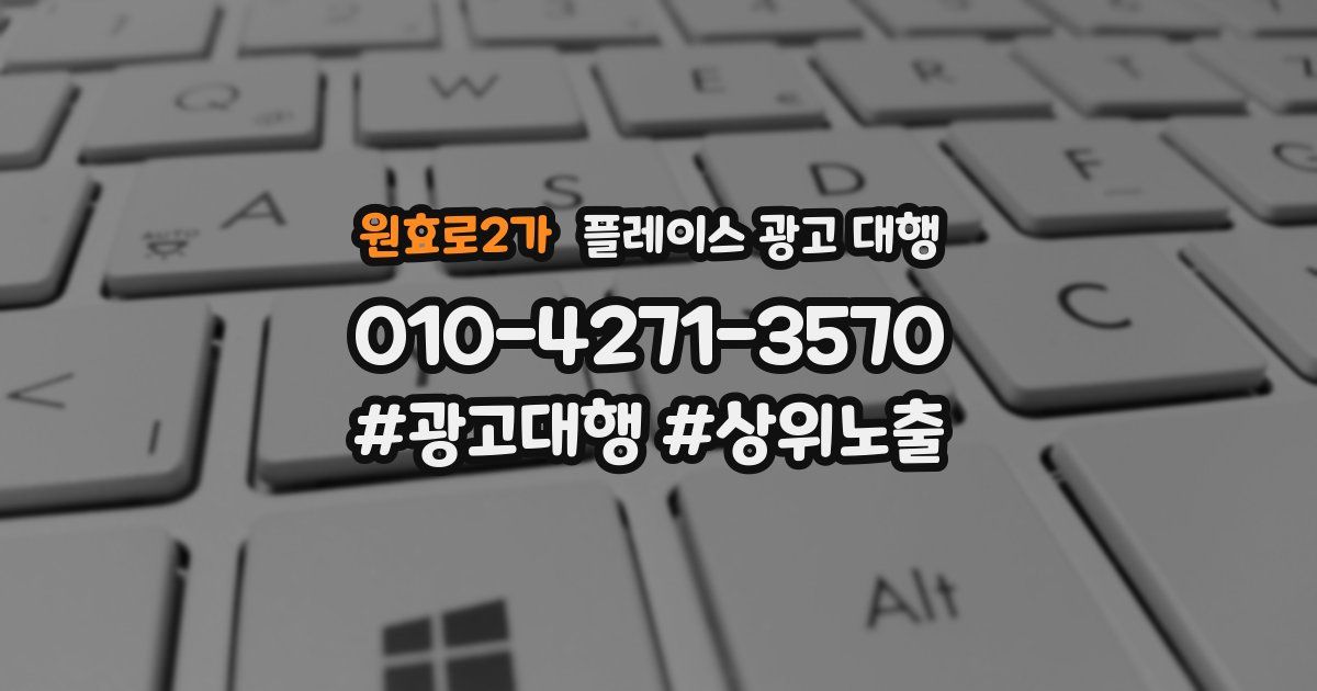 원효로2가 플레이스 광고 대행