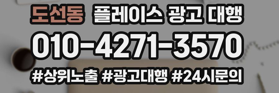 도선동 플레이스 광고 대행