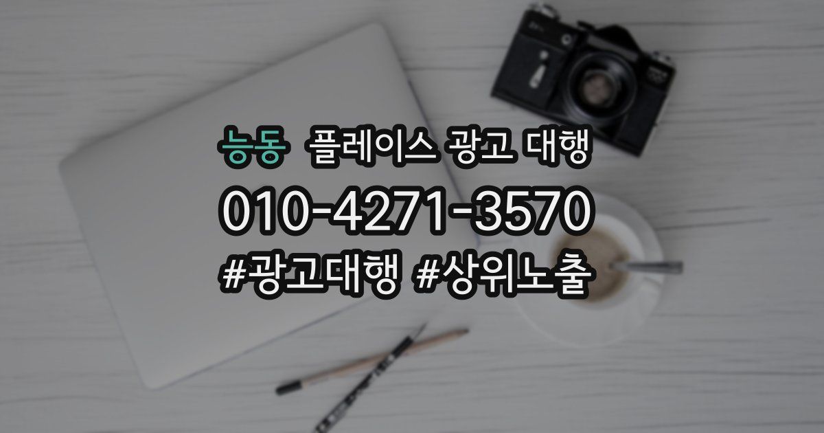 능동 플레이스 광고 대행