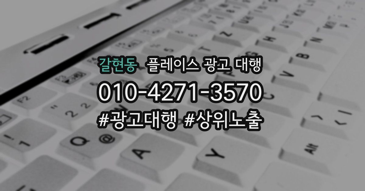 갈현동 플레이스 광고 대행