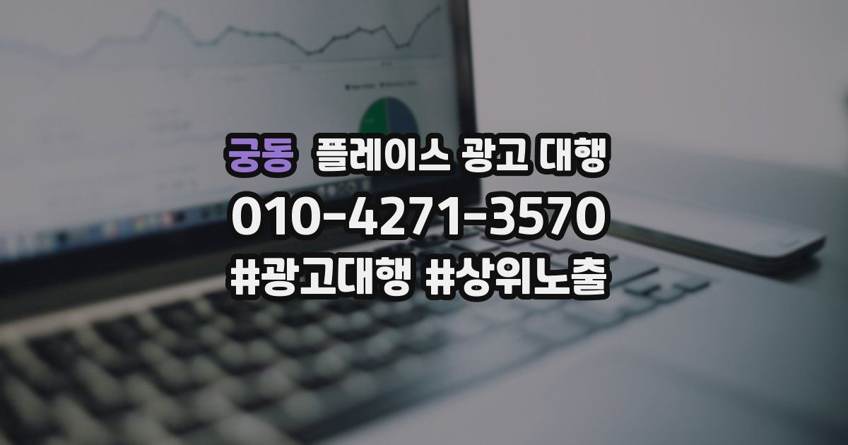 궁동 플레이스 광고 대행