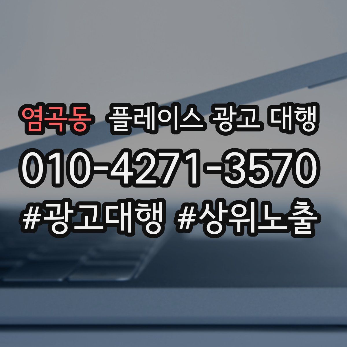 염곡동 플레이스 광고 대행