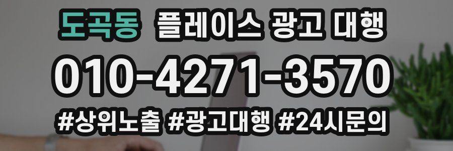 도곡동 플레이스 광고 대행