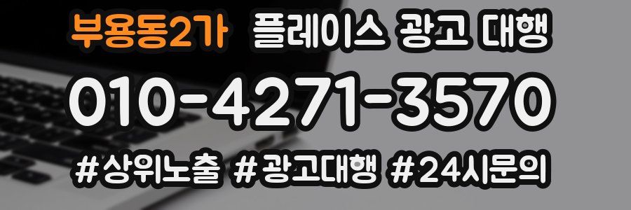 부용동2가 플레이스 광고 대행