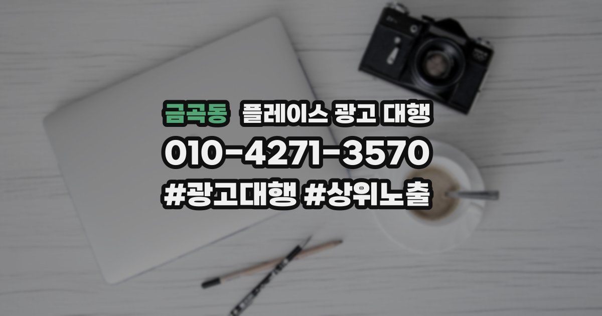 금곡동 플레이스 광고 대행