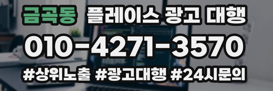 금곡동 플레이스 광고 대행