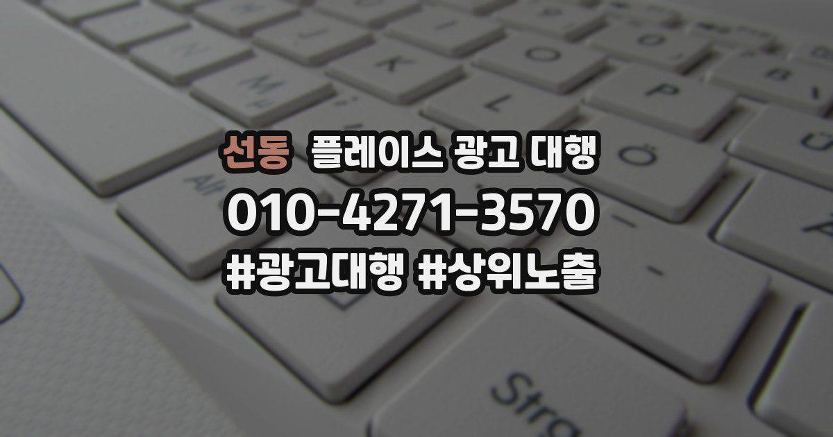 선동 플레이스 광고 대행