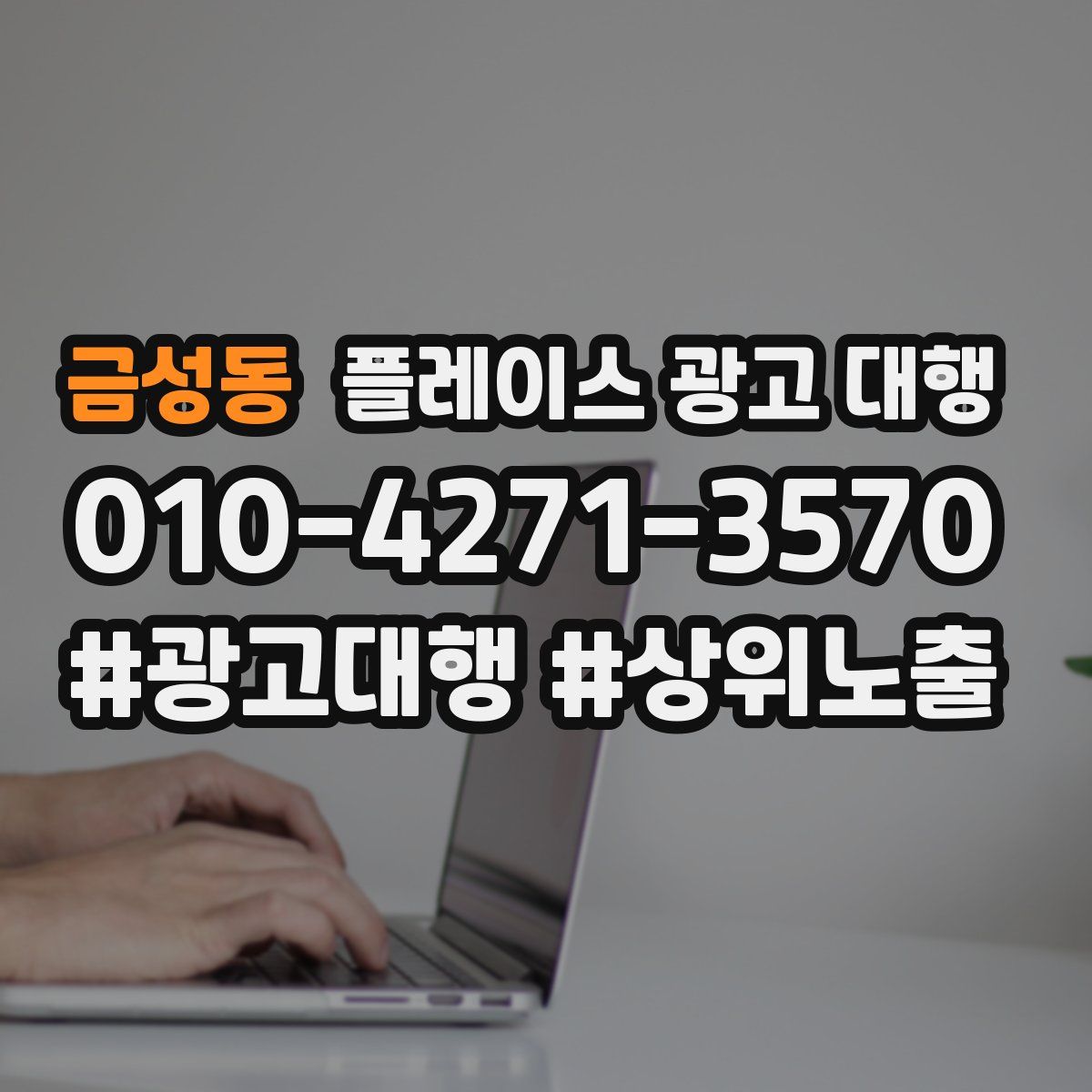 금성동 플레이스 광고 대행