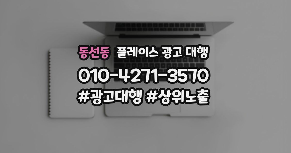 동선동 플레이스 광고 대행
