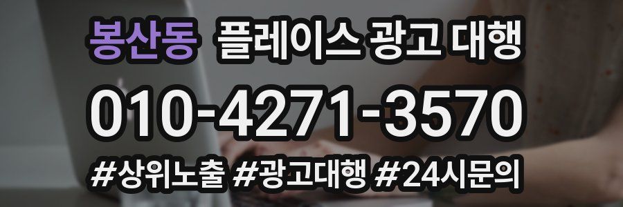 봉산동 플레이스 광고 대행