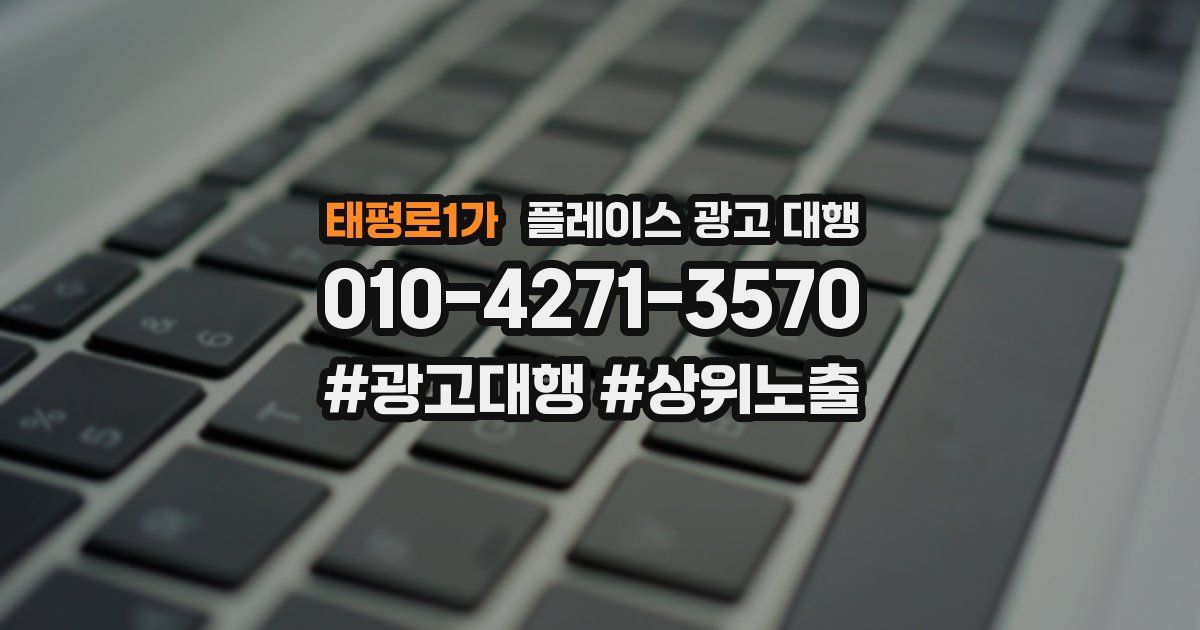 태평로1가 플레이스 광고 대행