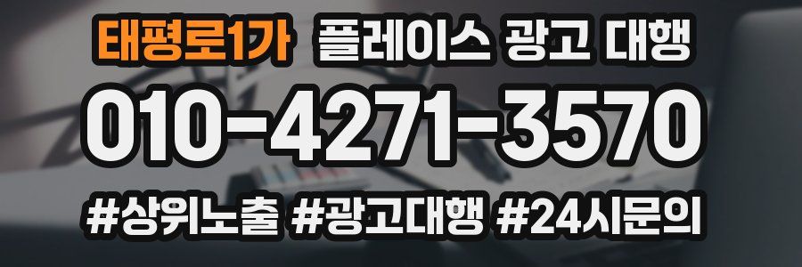 태평로1가 플레이스 광고 대행