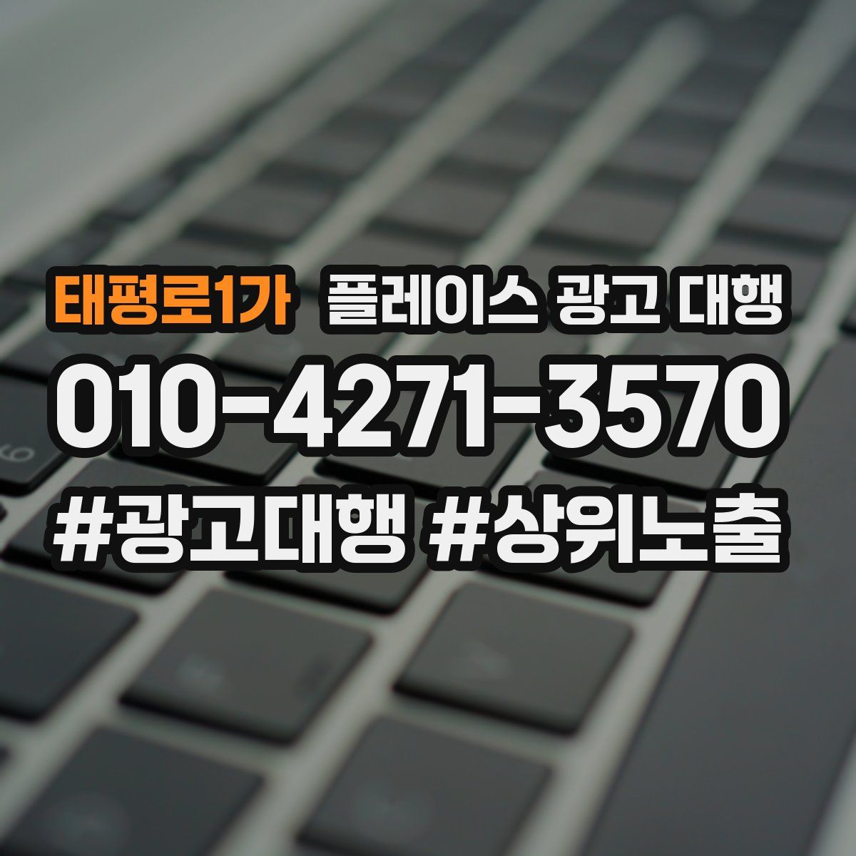 태평로1가 플레이스 광고 대행