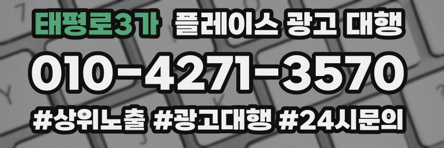 태평로3가 플레이스 광고 대행