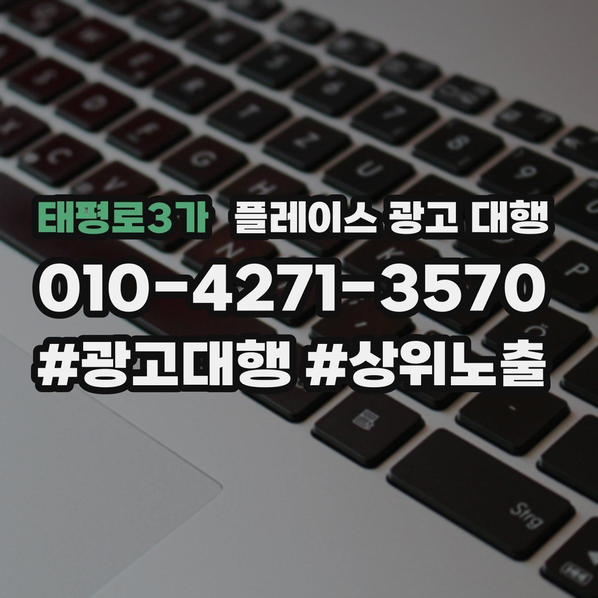 태평로3가 플레이스 광고 대행