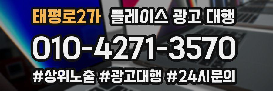 태평로2가 플레이스 광고 대행