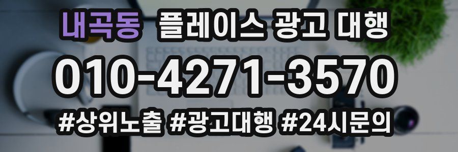 내곡동 플레이스 광고 대행