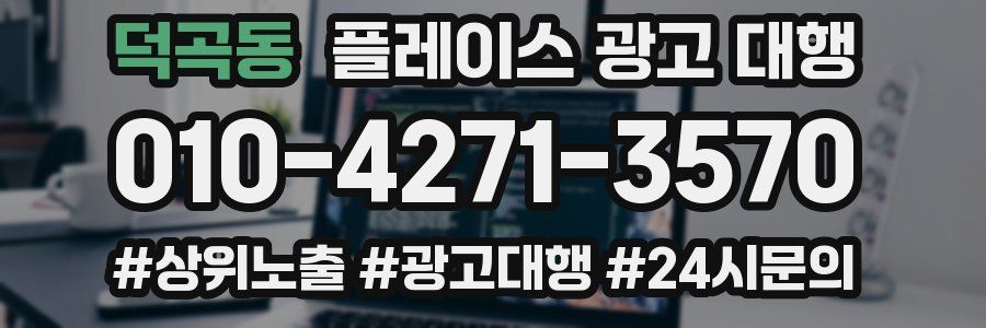 덕곡동 플레이스 광고 대행
