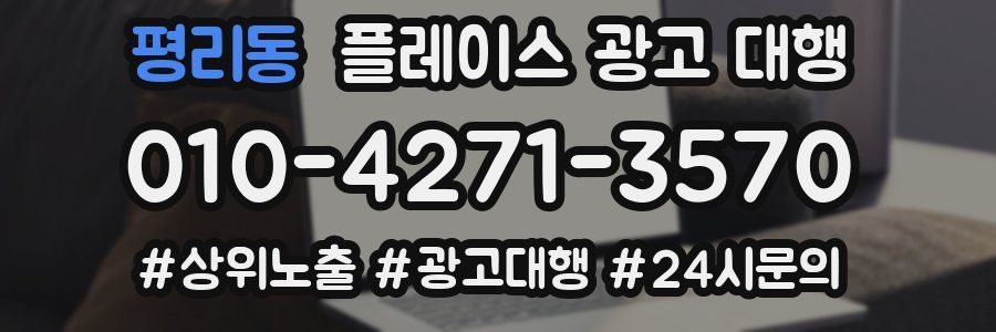 평리동 플레이스 광고 대행