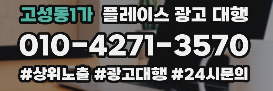 고성동1가 플레이스 광고 대행