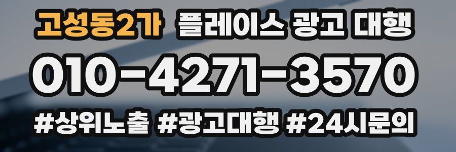 고성동2가 플레이스 광고 대행