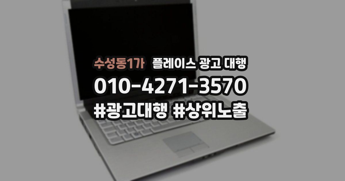 수성동1가 플레이스 광고 대행