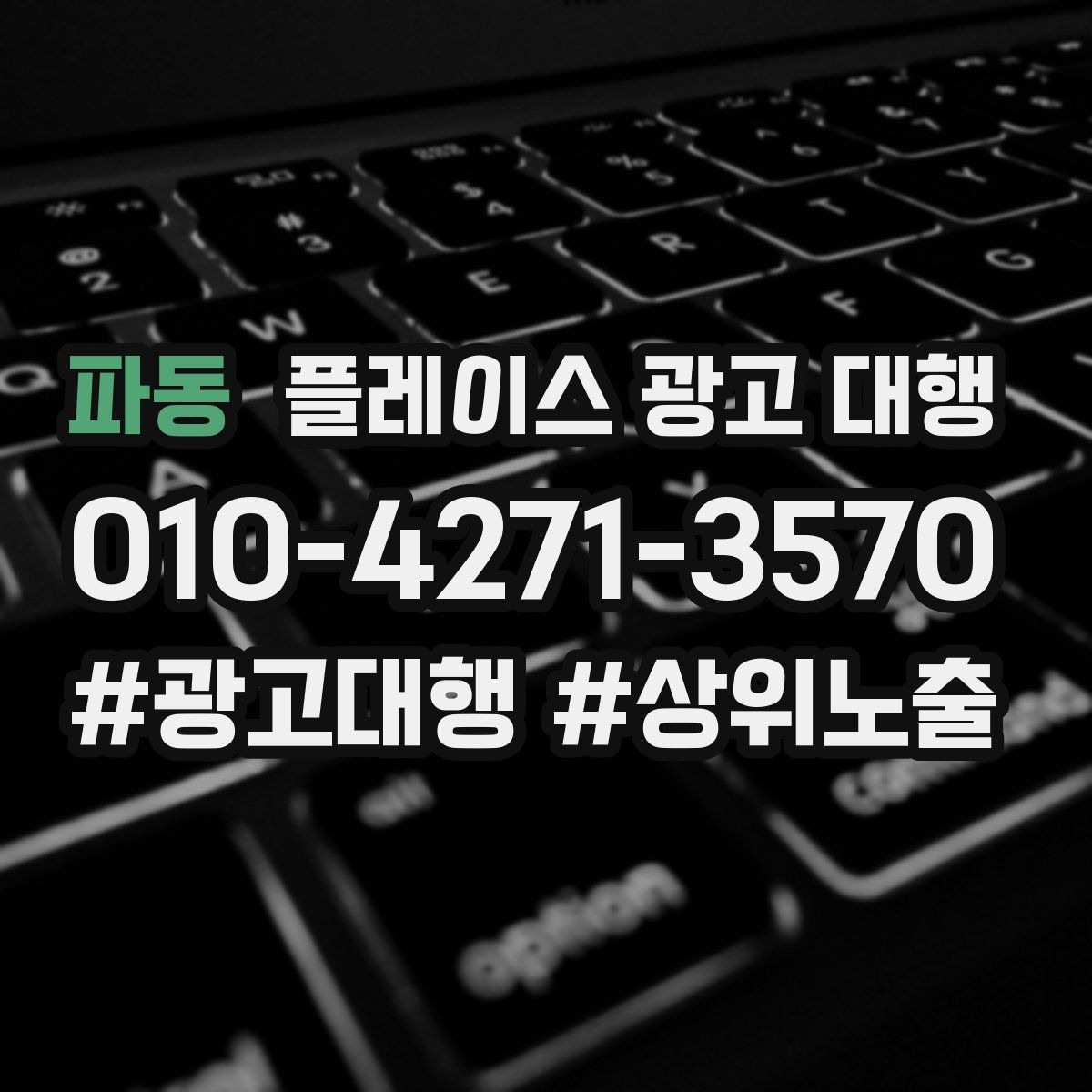 파동 플레이스 광고 대행