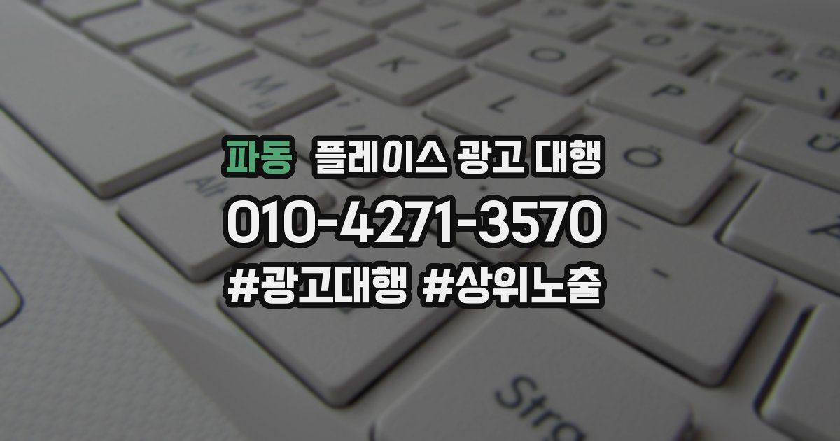 파동 플레이스 광고 대행