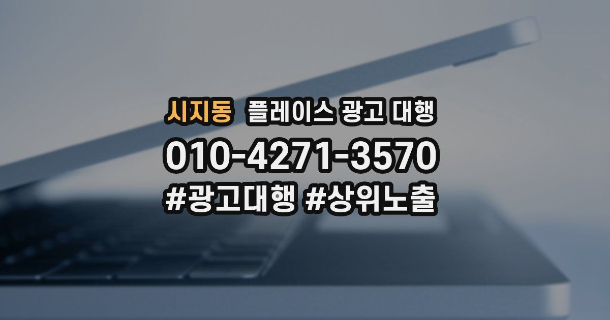 시지동 플레이스 광고 대행