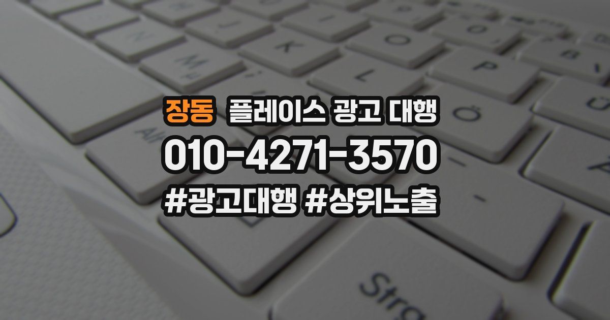 장동 플레이스 광고 대행