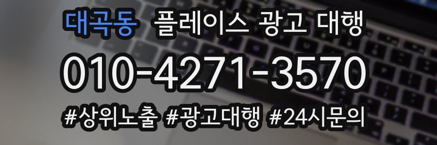 대곡동 플레이스 광고 대행