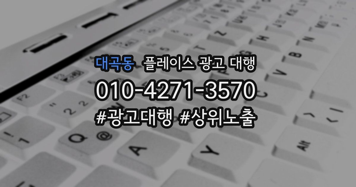 대곡동 플레이스 광고 대행