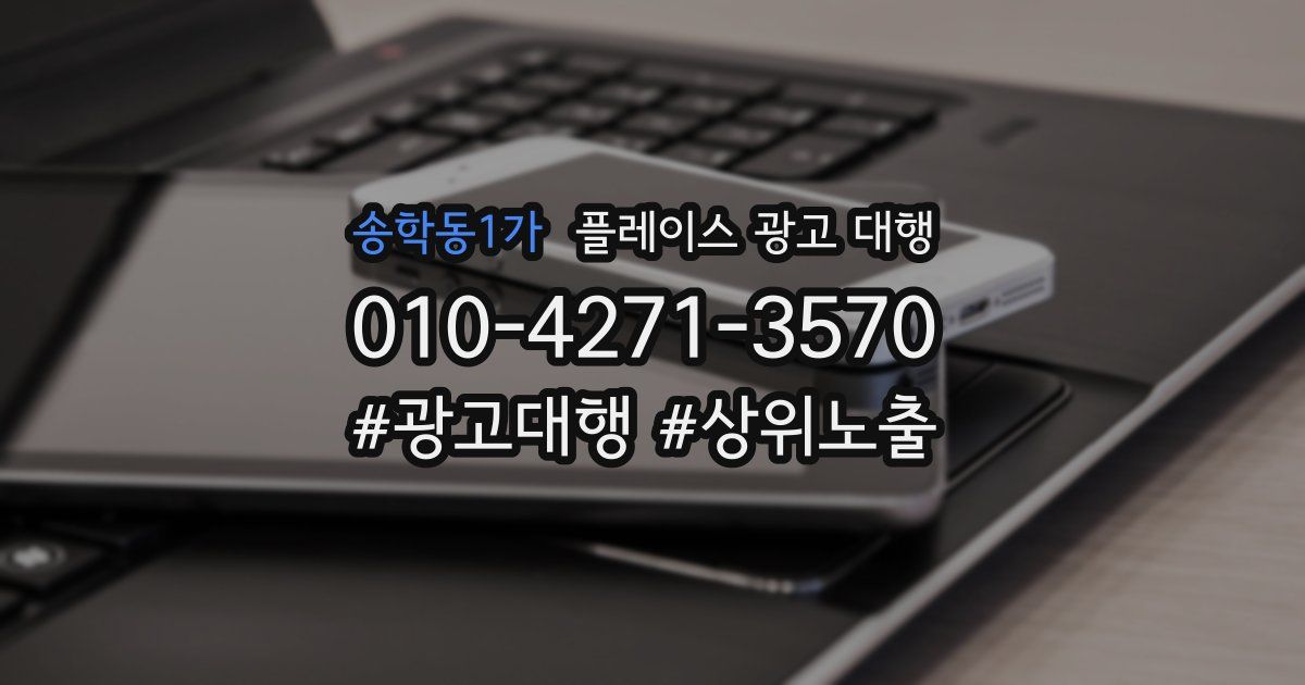 송학동1가 플레이스 광고 대행