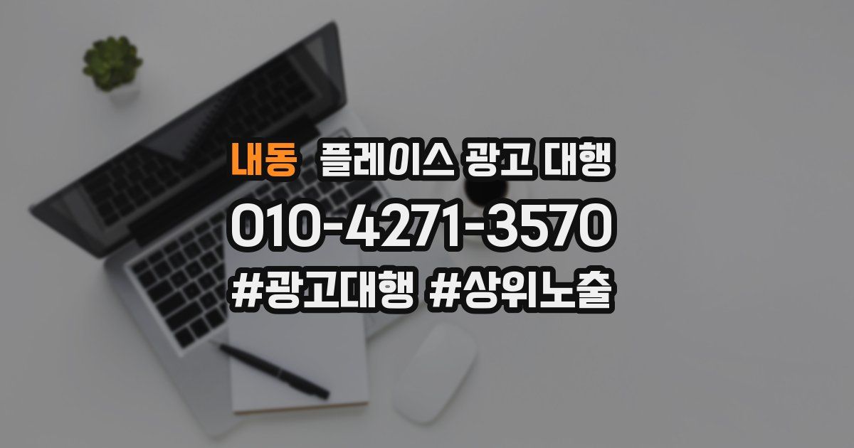 내동 플레이스 광고 대행
