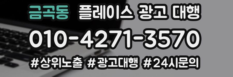 금곡동 플레이스 광고 대행