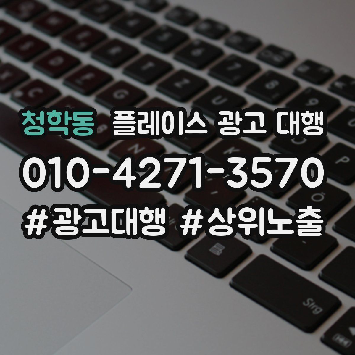 청학동 플레이스 광고 대행