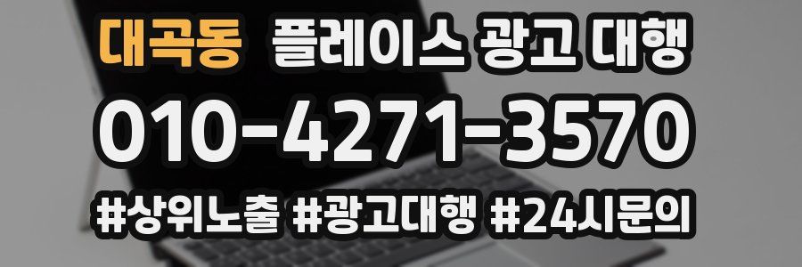 대곡동 플레이스 광고 대행